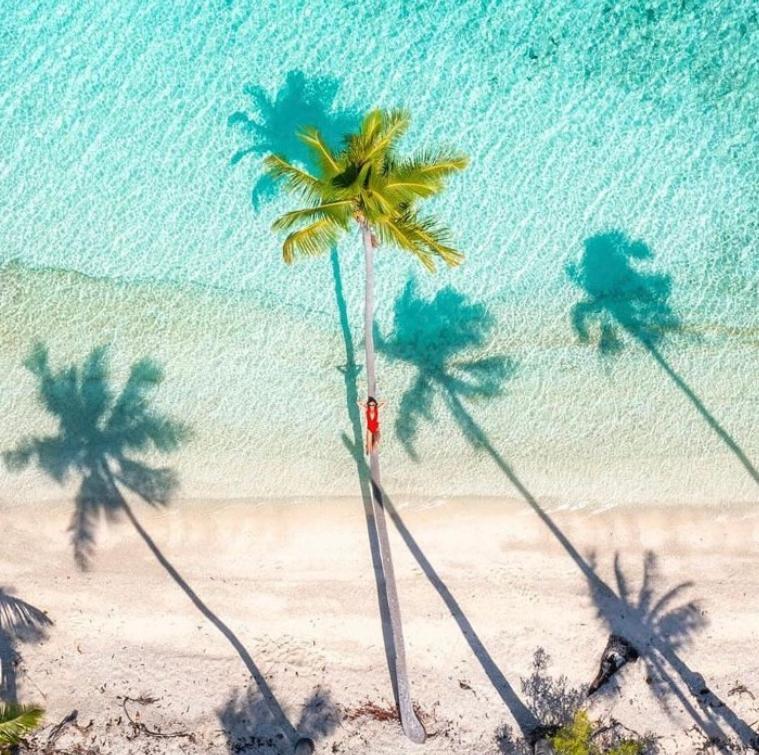 Vahaui Paradis أفاتورو المظهر الخارجي الصورة